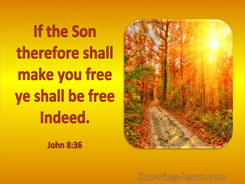 John 8:36 If The Son Makes You Free You Shall Be Free Indeed (utmost)11:18